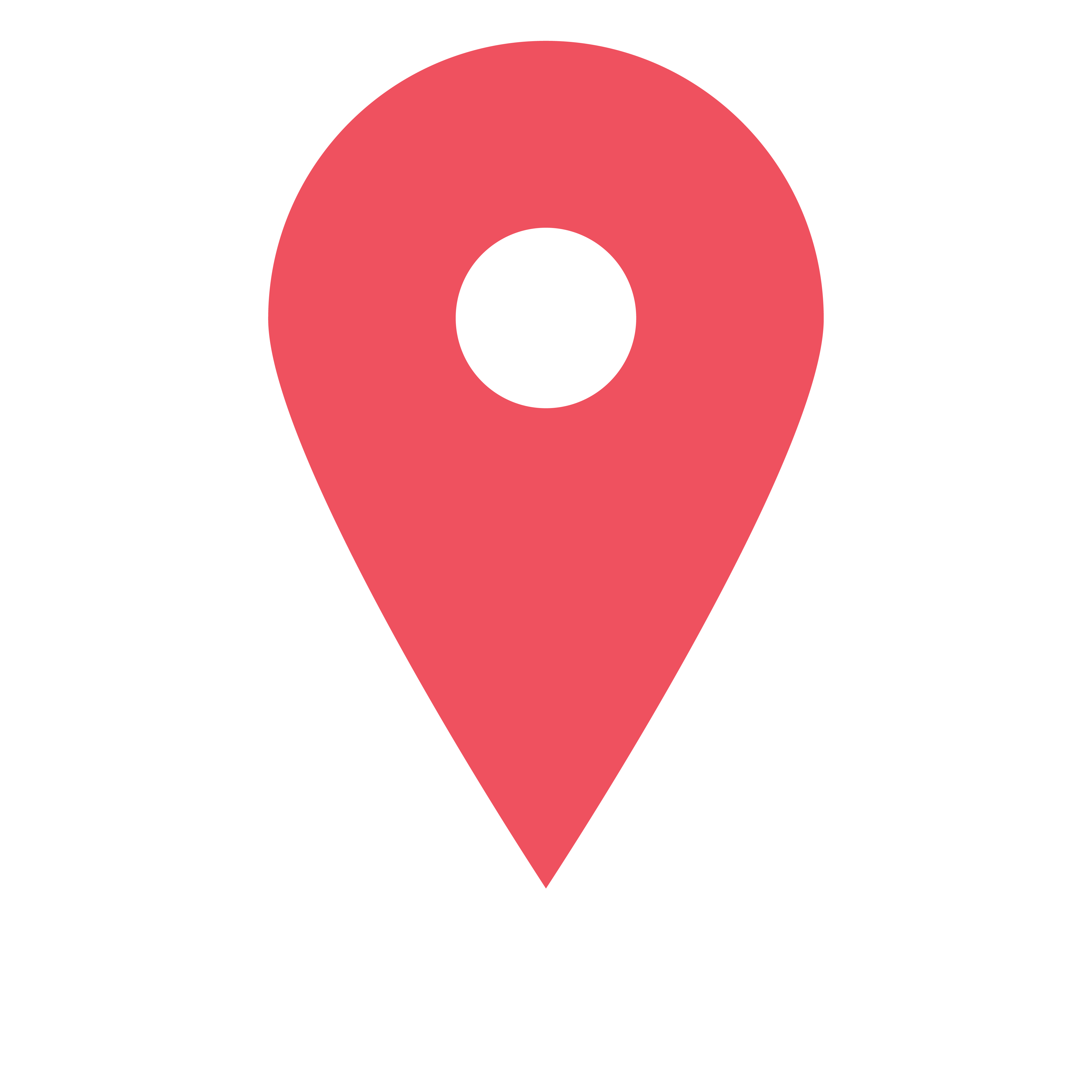 Location White Icon